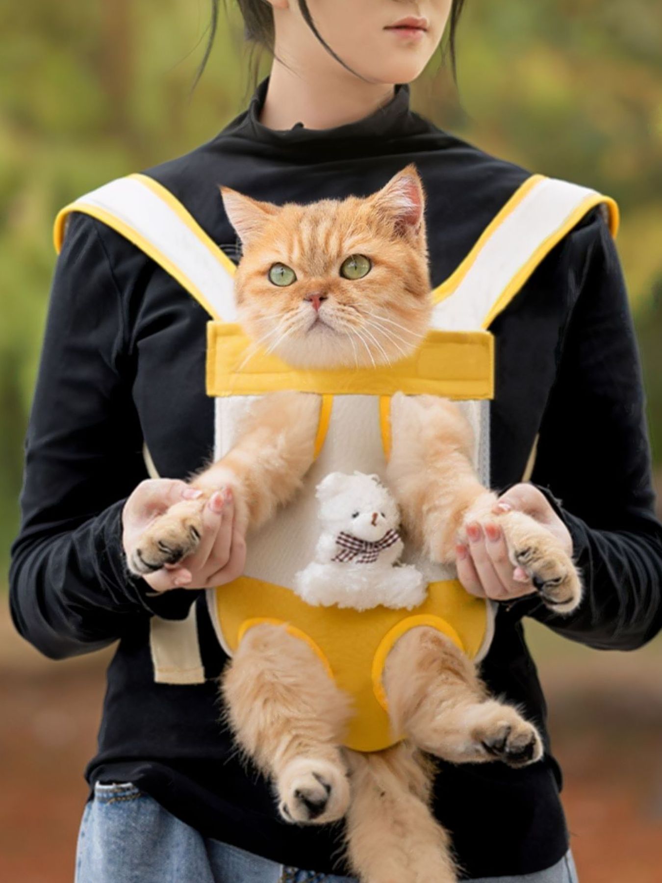 Pets